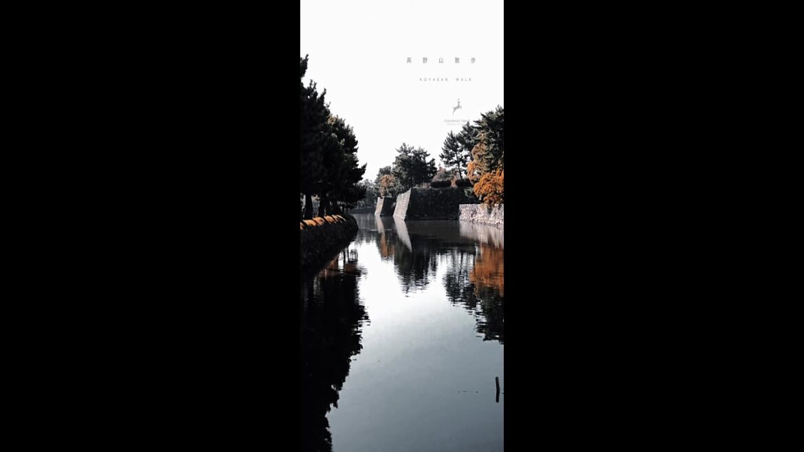 高野山散歩 和歌山城編 #shorts #relax #travel