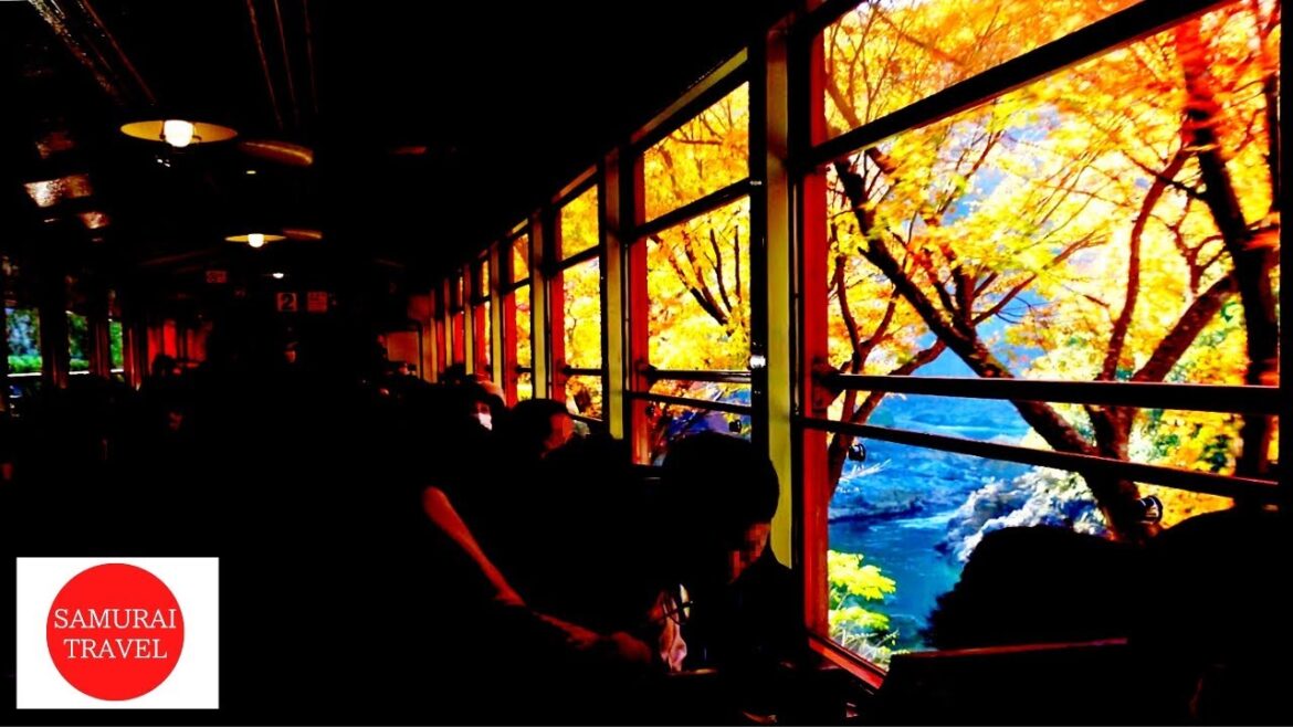 【Sagano Torokko Romantic Train】in Autumn leaves ride Scenic Railway Kameoka→Arashiyama in Kyoto 【Sagano Torokko Romantic Train】in Autumn leaves ride Scenic Railway Kameoka→Arashiyama in Kyoto