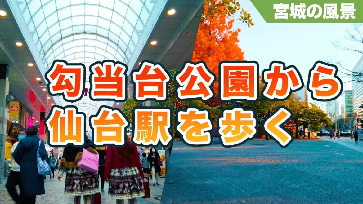 【仙台散歩】勾当台公園から仙台駅前までの徘徊 - Walk from Kotodai Park to Sendai Station - SENDAI Walk(Miyagi, Japan)
