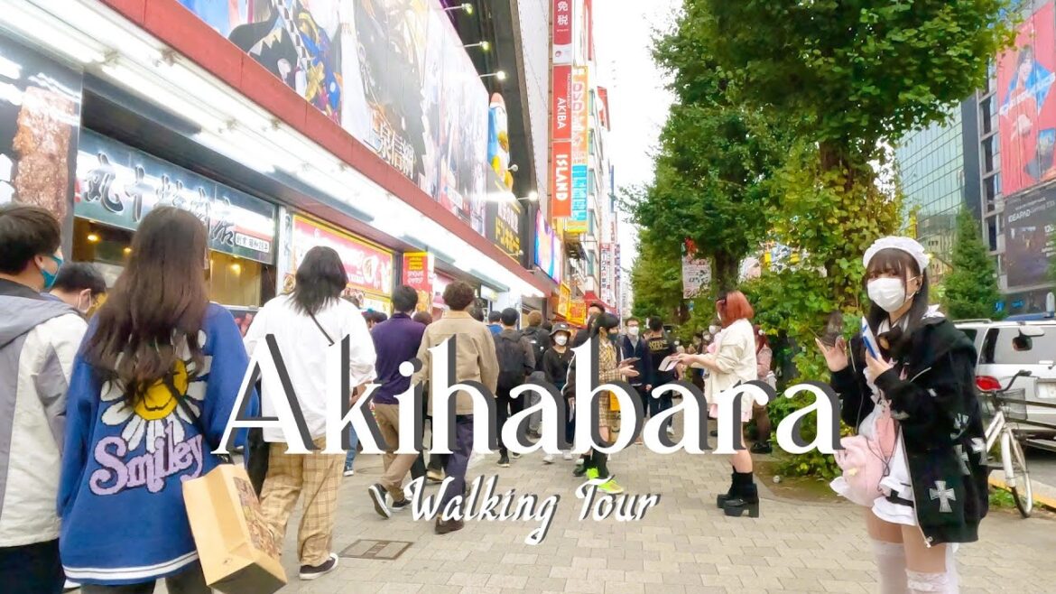 Tokyo Walk – Akihabara 2022【GoPro HERO 11 4K】/秋葉原とアニメイト メイドさんとアニメの秋葉原を散歩 Tokyo Walk - Akihabara 2022【GoPro HERO 11 4K】/秋葉原とアニメイト メイドさんとアニメの秋葉原を散歩