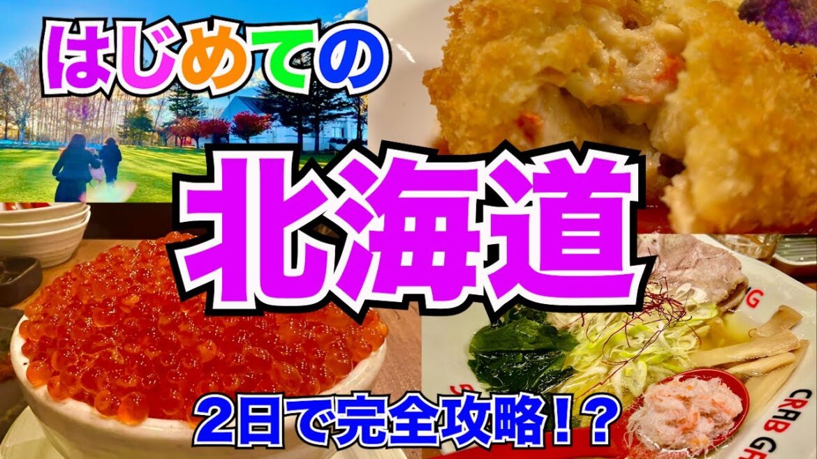 【北海道旅行】はじめての北海道旅行!1泊2日で完全攻略したら幸せ増量旅になった 【北海道旅行】はじめての北海道旅行!1泊2日で完全攻略したら幸せ増量旅になった