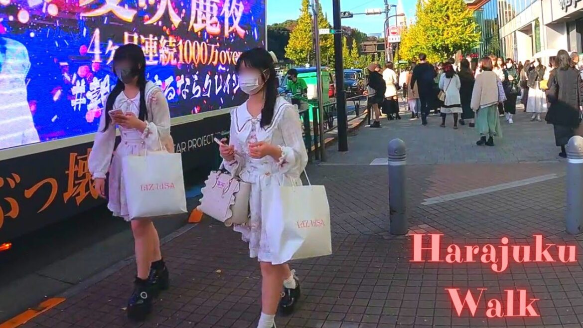 Harajuku Tokyo in Japan walking tour【4K】11.2022 Harajuku Tokyo in Japan walking tour【4K】11.2022