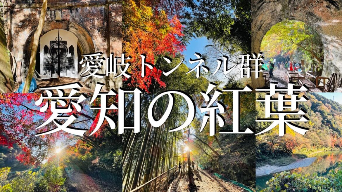 愛知の紅葉「愛岐トンネル群 秋の特別公開」散策vlog