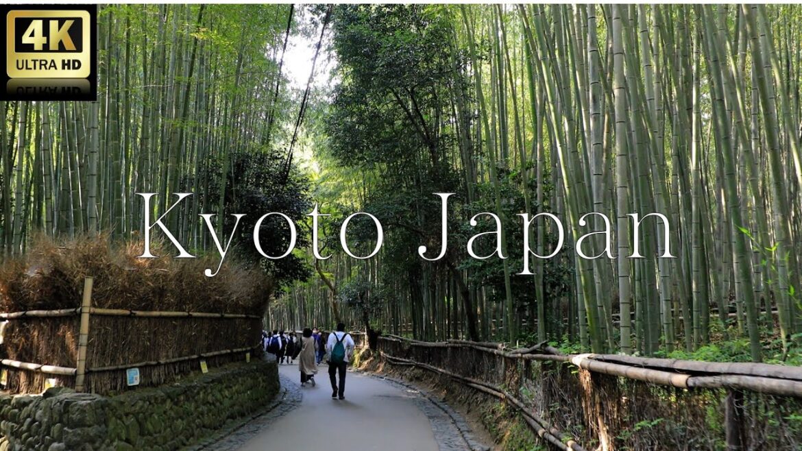 Kyoto Japan! 5-minute tour of Kyoto Arashiyama.Beautiful images 4K