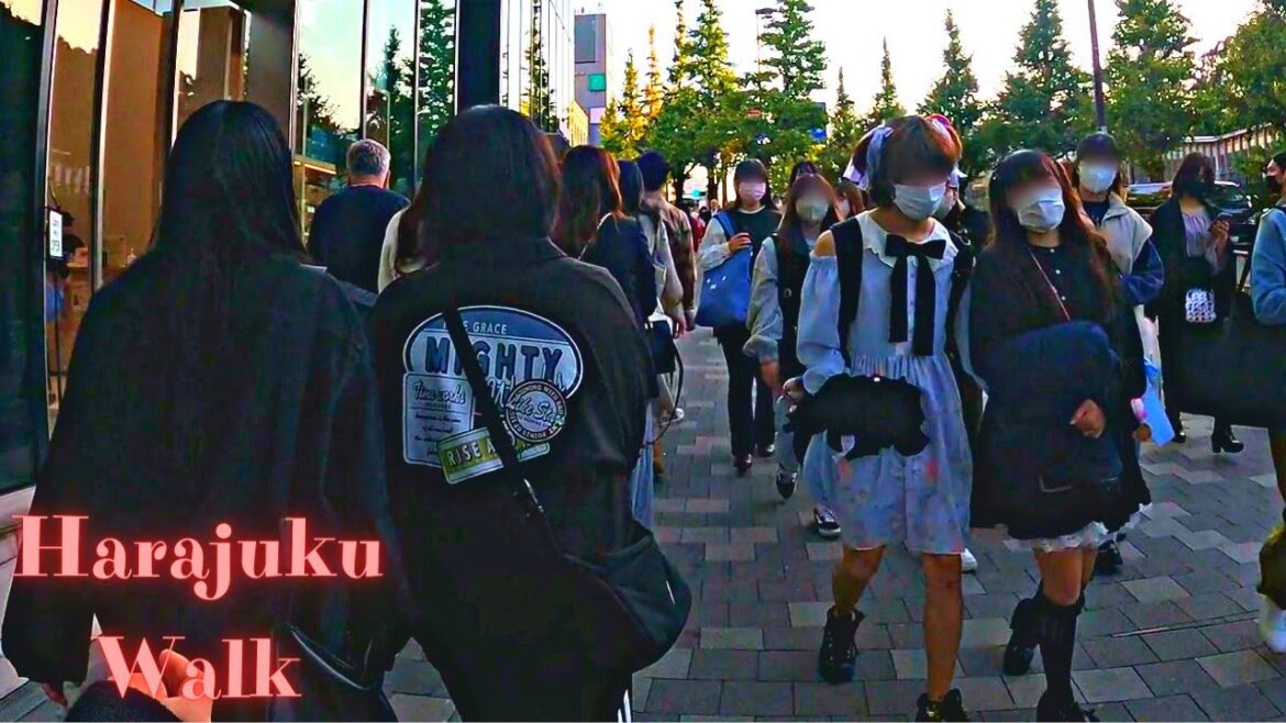 Harajuku Tokyo in Japan walking tour.【4K】11.2022