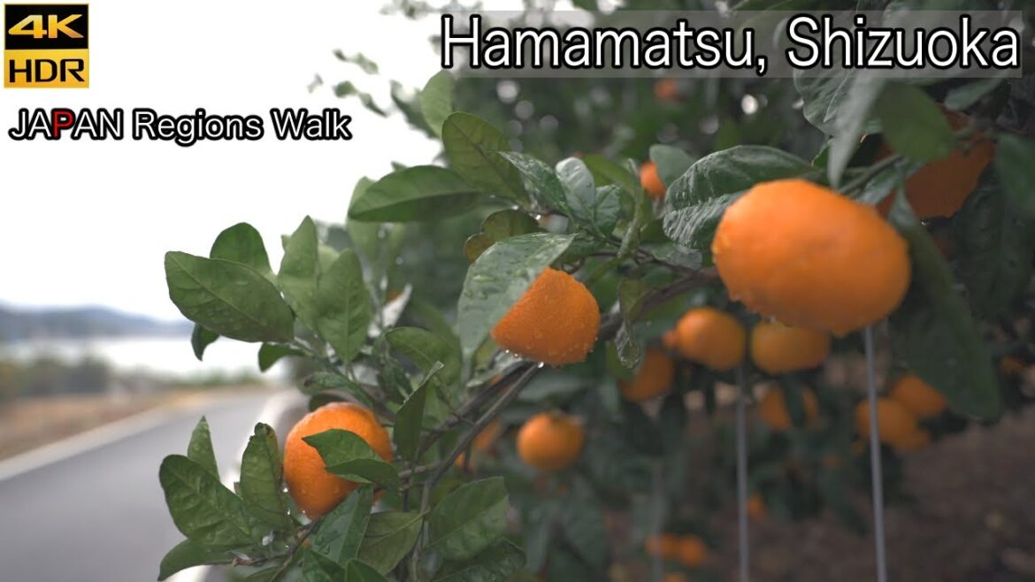 Oku Hamanako Station West Side | Hamamatsu, Shizuoka | 4K HDR | 静岡県浜松市
