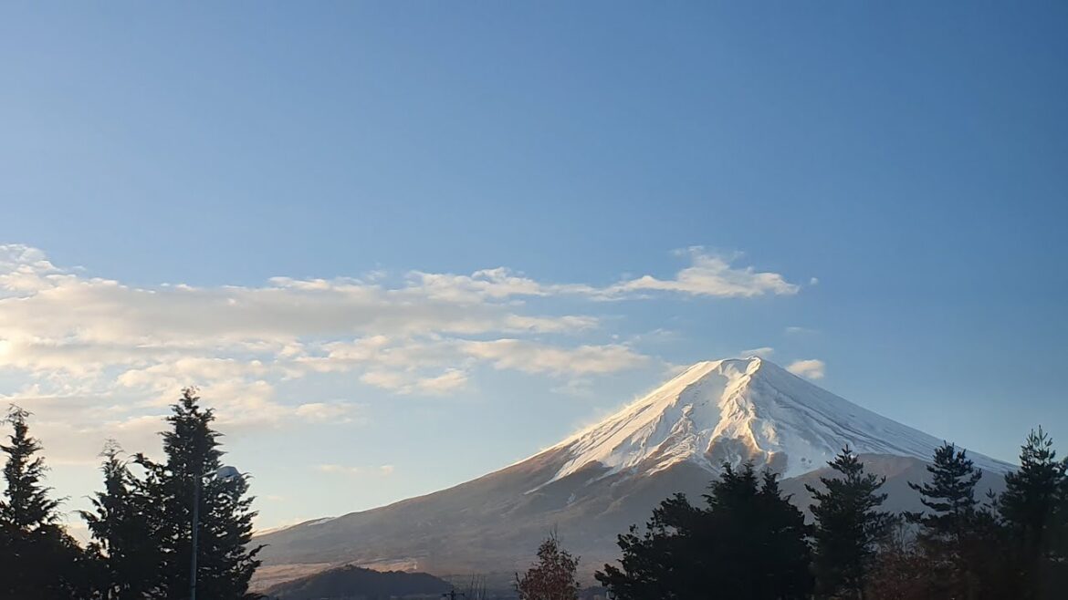 Fuji Pass 2/2: Mt. Fuji Panoramic Ropeway, Ice and Wind Cave, Fuji-Q Highland | Japan 10/45 |