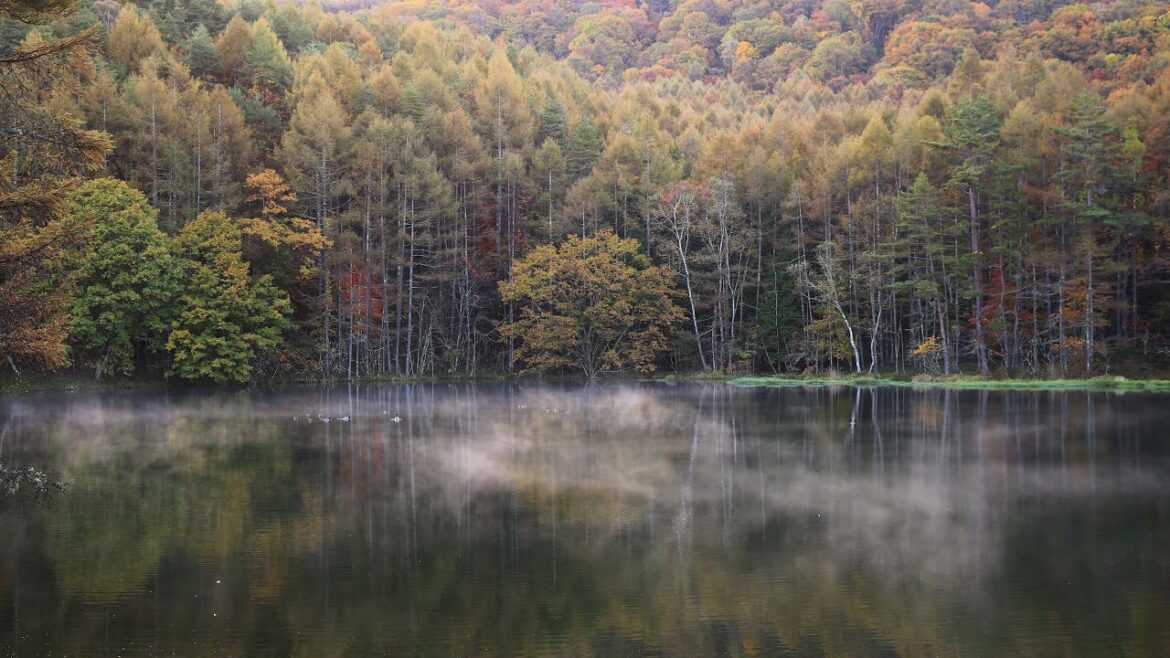 【Japan 1minute Travel NAGANO Chino】 長野 茅野 奥蓼科 御射鹿池（気嵐たつ晩秋の御射鹿池のタイムラプス動画）