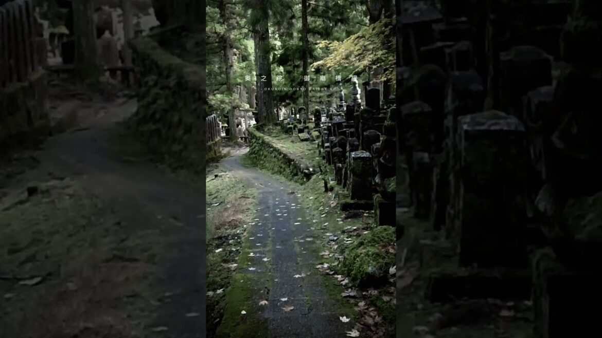 高野山散歩 奥之院御廟編 #shorts #relax #travel