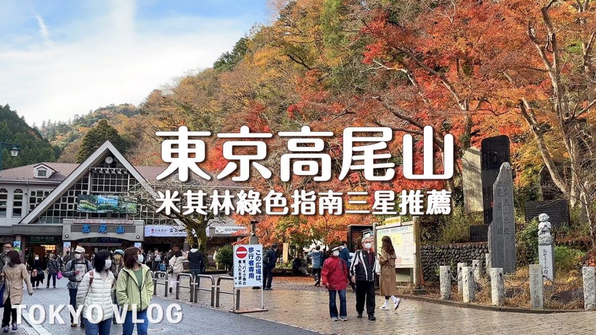 【東京米其林三星景點】高尾山 世界上參觀人數最多的山｜賞楓紅 享受自然｜高山必吃日本美食 ｜日本旅行｜Tokyo vlog