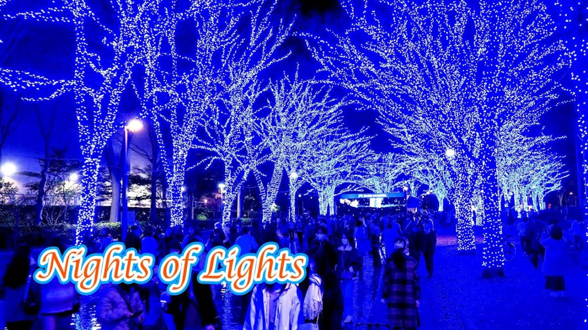 Nights of Christmas Lights Downtown Tokyo 首都圏のライトアップとイルミネーション #christmaslights