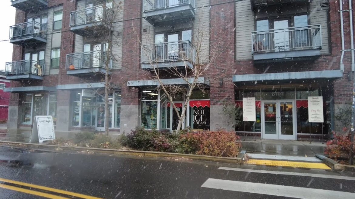 Portland Snow (no sticking), Division Neighborhood, December 4th 2022