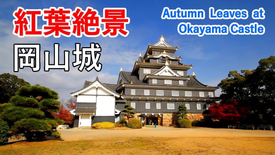 岡山城・岡山後楽園の紅葉絶景！ / Autumn Leaves at Okayama Castle and Okayama Korakuen Garden! 【2022年11月リニューアルオープン】