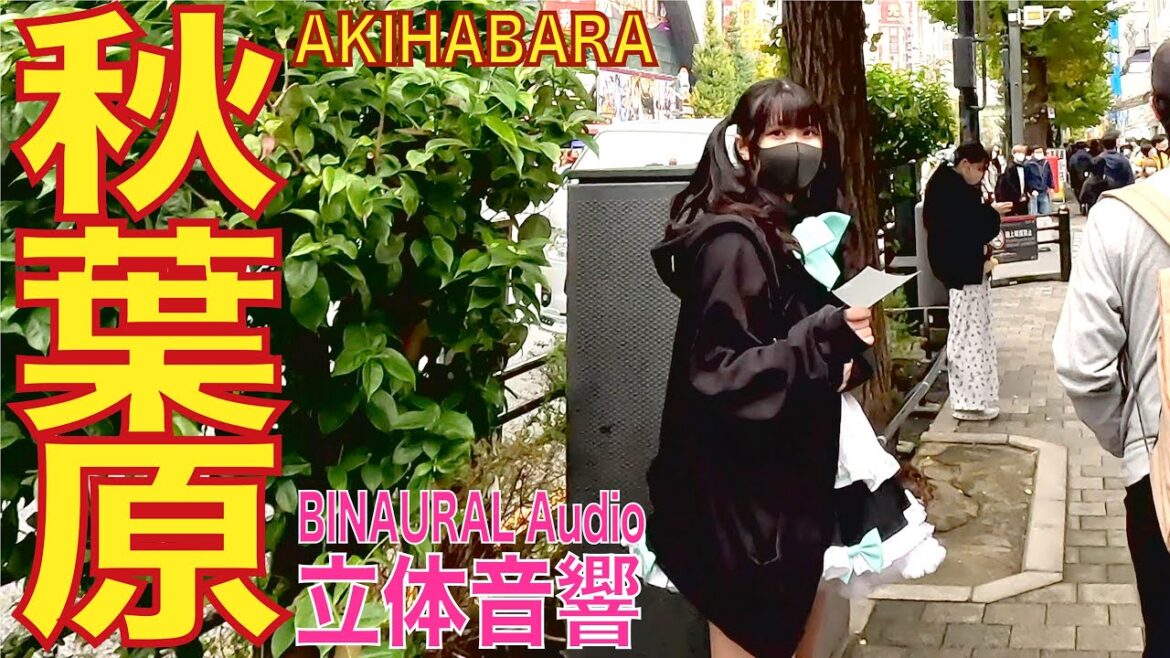 【4K/立体音響】秋葉原 電気街 20221126 akihabara tokyo walk