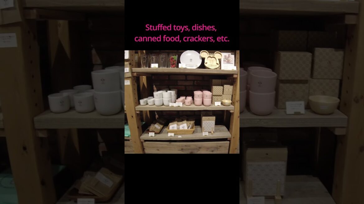 【New opening at Yokohama Red Brick Warehouse】Disney HARVEST MARKET