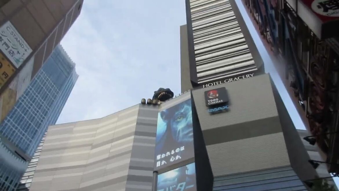 Japan video integrale 001