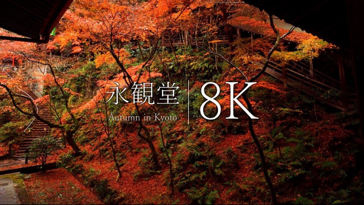 【平安時代から残る紅葉名所】もみじの永観堂を訪ねて – Kyoto in 8K 【平安時代から残る紅葉名所】もみじの永観堂を訪ねて - Kyoto in 8K