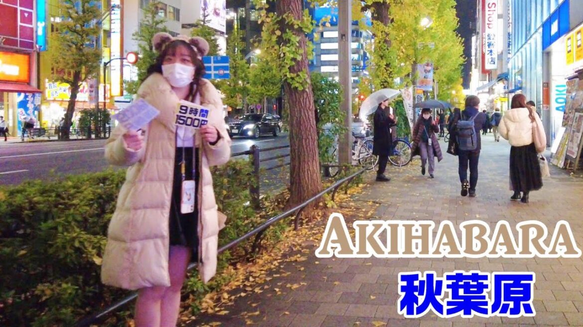 【4K Tokyo Walk】Akihabara Walk　秋葉原散歩　아키하바라　อากิฮาบาระ　　【東京散歩】2022/12/5