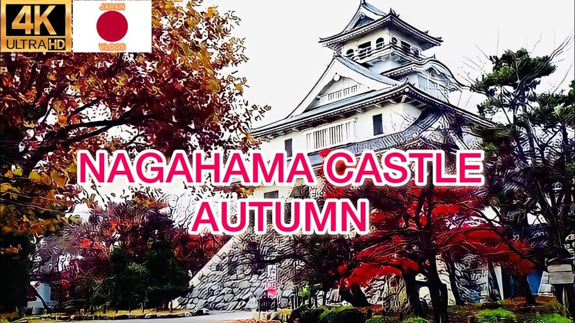 Japanese autumn 2022 nagahama castle walking tour shiga japan Japanese autumn 2022 nagahama castle walking tour shiga japan