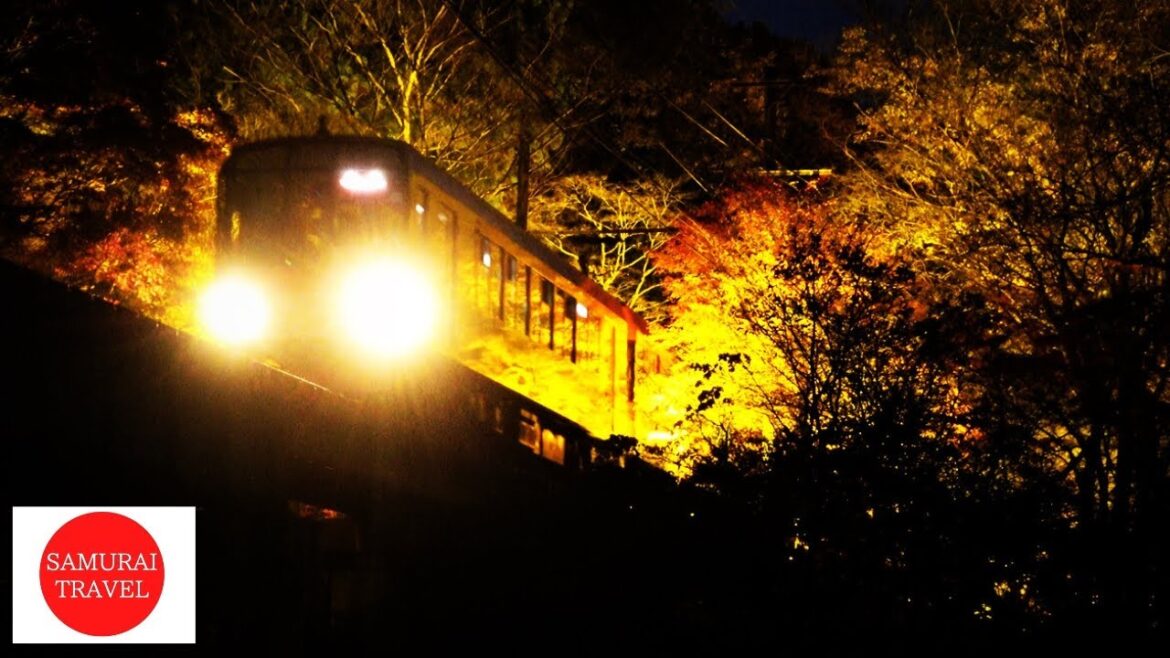 【Momiji Tunnel Kyoto】Eizan electric railway in Autumn Leaves Demachiyanagi station→Ichihara & Ninose 【Momiji Tunnel Kyoto】Eizan electric railway in Autumn Leaves Demachiyanagi station→Ichihara & Ninose