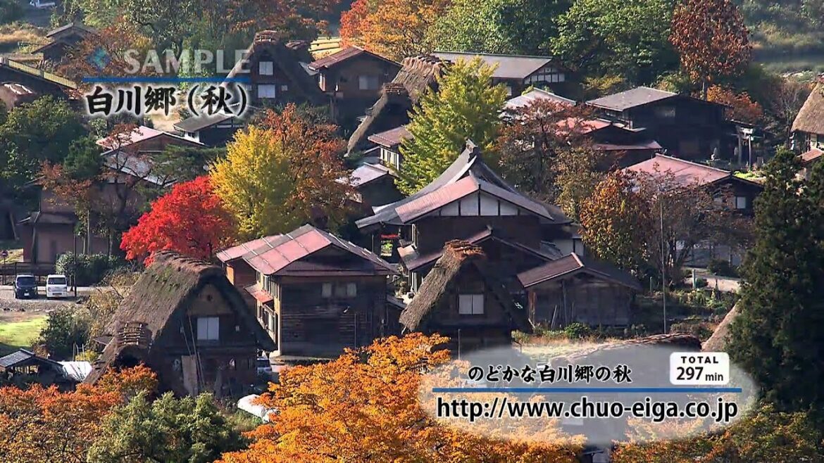 【World Heritage】Shirakawa-go (Fall & Autumn Colors) | 世界遺産:白川郷 (秋,紅葉) 【World Heritage】Shirakawa-go (Fall & Autumn Colors) | 世界遺産:白川郷 (秋,紅葉)