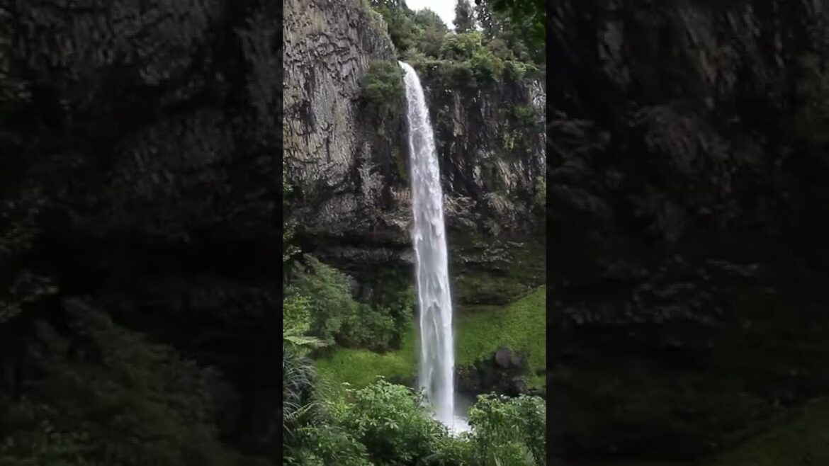 Travel in the New Zealand!!! Travel in the New Zealand!!!