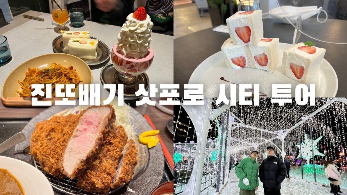 삿포로 여행오기 전에 보면 좋은 영상 #일본자유여행 #12월 #삿포로여행  #홋카이도여행  #북해도여행