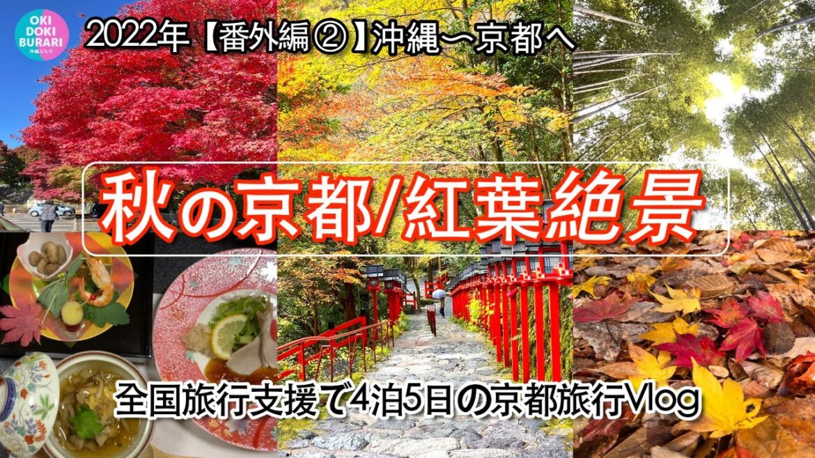 【京都旅行vlog】嵐山紅葉観光大人旅/温泉旅館.京会席料理/嵯峨野トロッコ列車.ライトアップ.渡月橋.全国旅行支援【京都4泊5日観光モデルコース①】kyoto travel in Japan/ 【京都旅行vlog】嵐山紅葉観光大人旅/温泉旅館.京会席料理/嵯峨野トロッコ列車.ライトアップ.渡月橋.全国旅行支援【京都4泊5日観光モデルコース①】kyoto travel in Japan/