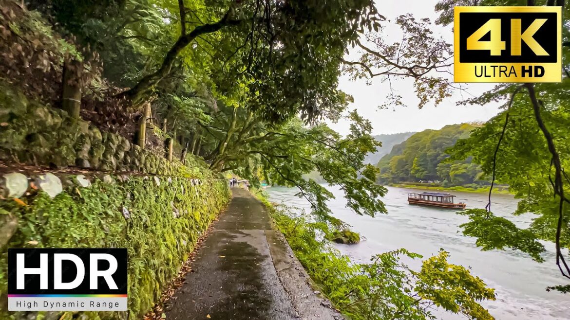 【4K HDR】Rainy day walk in Kyoto Arashiyama Bamboo Forest and Shopping Street | 京都嵐山 2022
