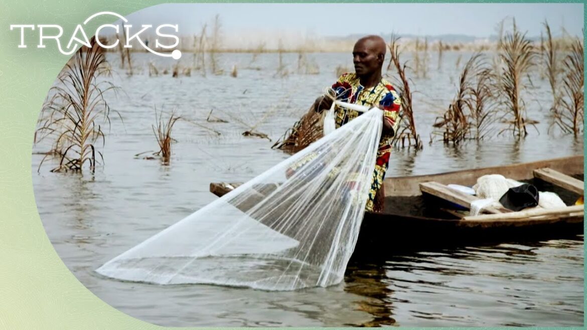 West African Countries Fighting To Keep Their Traditions Alive: Part 2 | Today In Africa | TRACKS