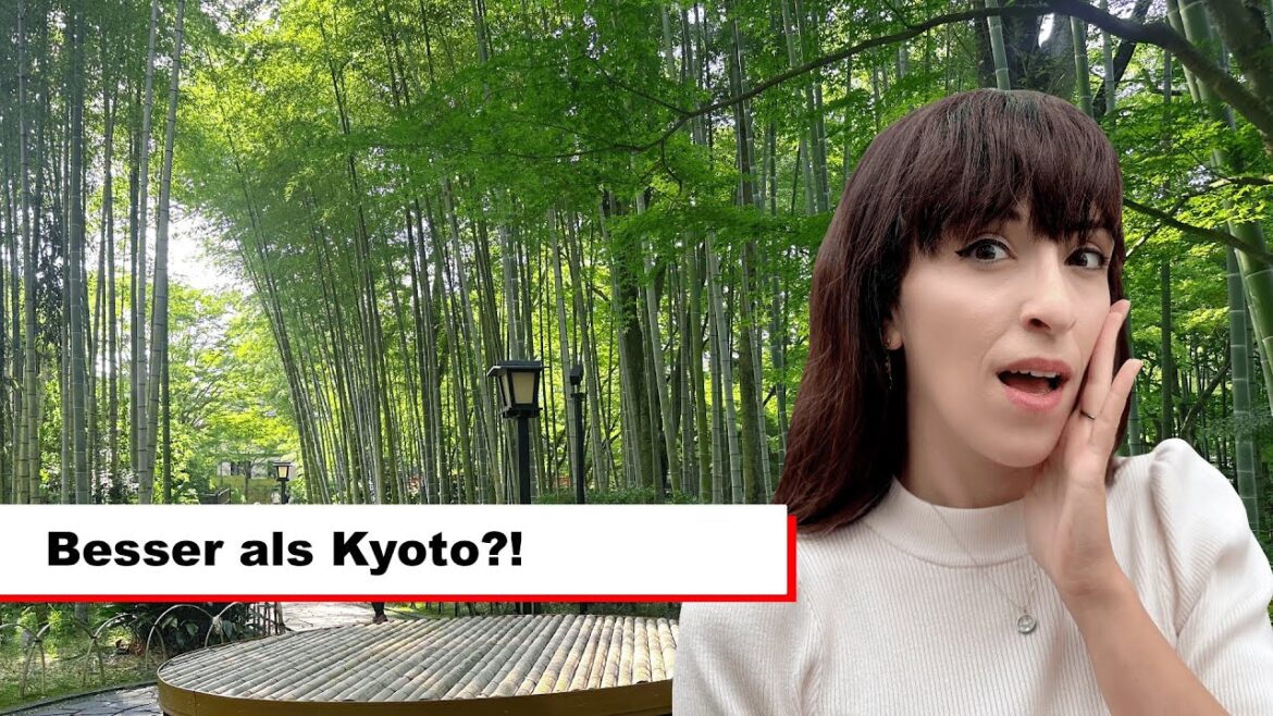 Schlösser, Parks & Shopping | Präfektur Shizuoka | Japan mal Anders