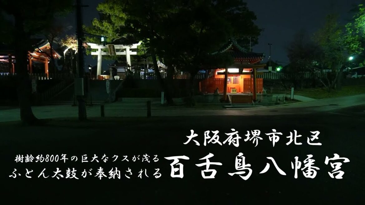日本の美しい風景　百舌鳥八幡宮　夜歩き　Mozu Hachiman-gu Shrine　Osaka Japan　Walking Tour