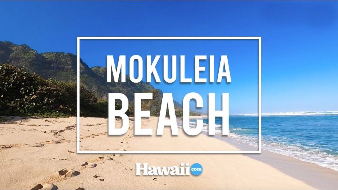 A Walk Along Peaceful Mokuleia Beach