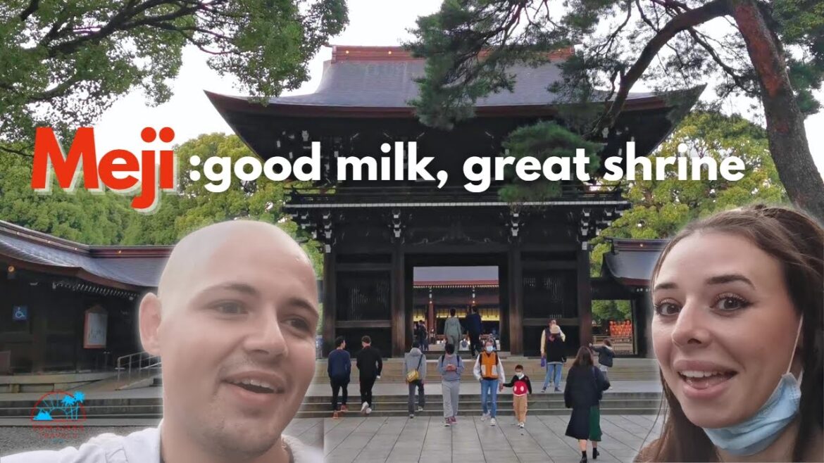 48 Hours in Tokyo! | Japan