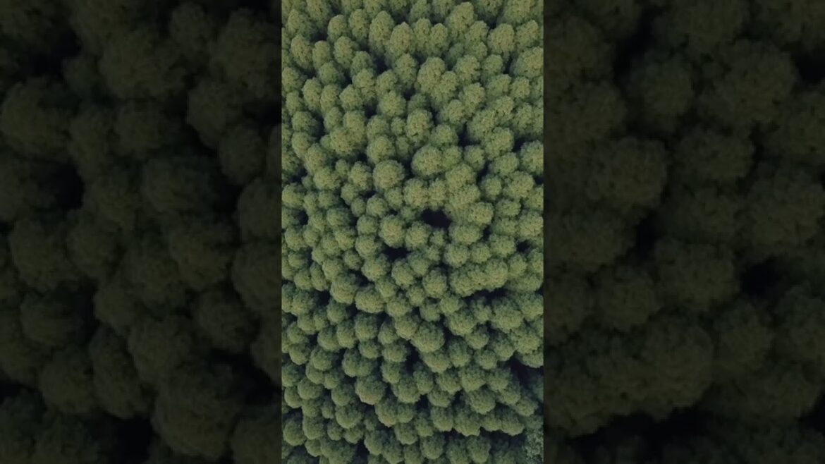 日本の空から / From the skies of Japan  #shorts 日本の空から / From the skies of Japan  #shorts