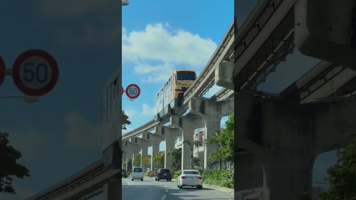 Remember summer days at okinawa