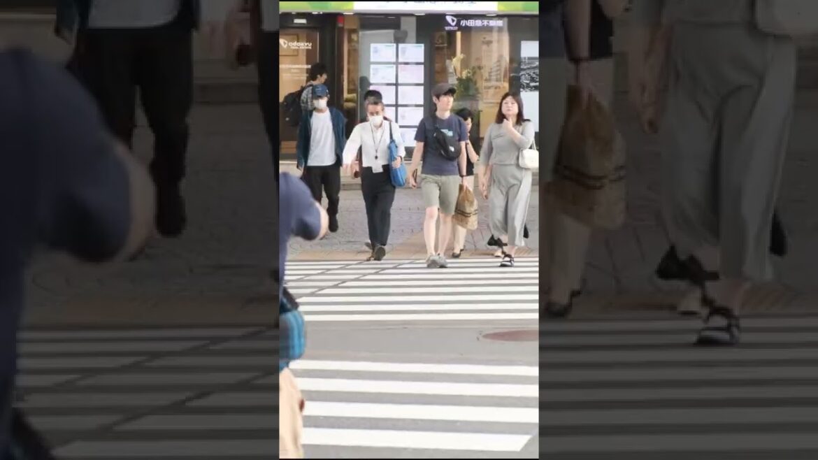 Tokyo's Busy Streets