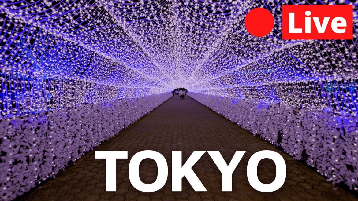 Tokyo LIVE Sunday Evening Illuminations