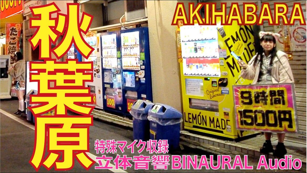 【4K/立体音響】秋葉原 電気街 20221130 akihabara tokyo walk
