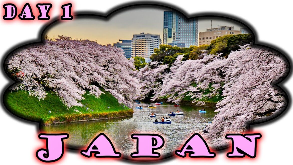 JAPAN SAKURA TRIP ❀ TOKIO ❀ Cherry Blossom | Tokyo Tower | Shibuya Crossing ❀ Day 1