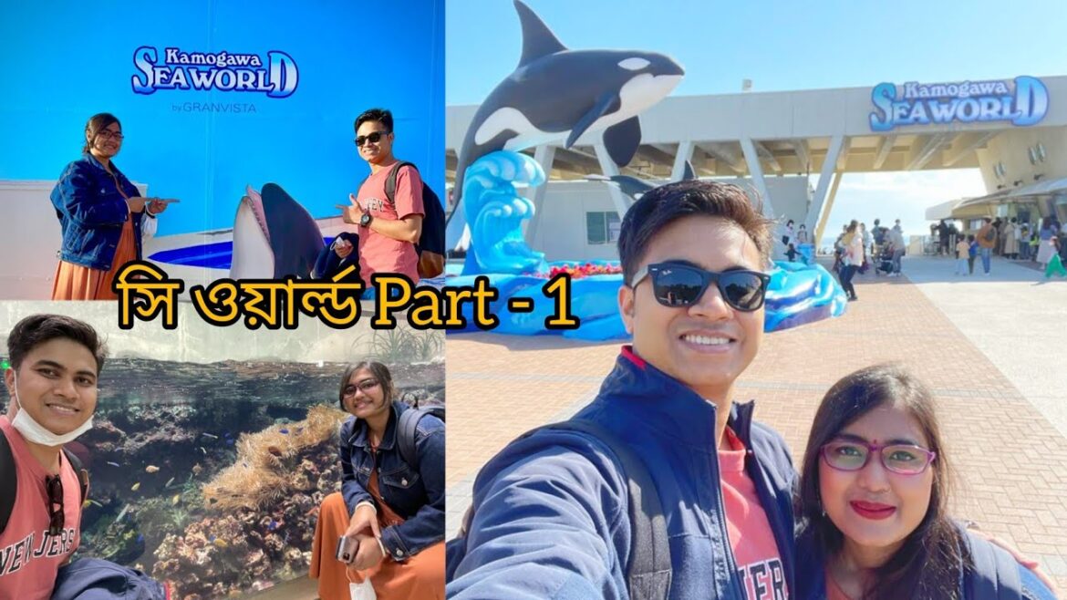 Kamogawa Seaworld 2022-Part 1।।Beluga Performance।। প্রথমবার সি ওয়ার্ল্ড এবং সাদা তিমির খেলা দেখা।। Kamogawa Seaworld 2022-Part 1।।Beluga Performance।। প্রথমবার সি ওয়ার্ল্ড এবং সাদা তিমির খেলা দেখা।।