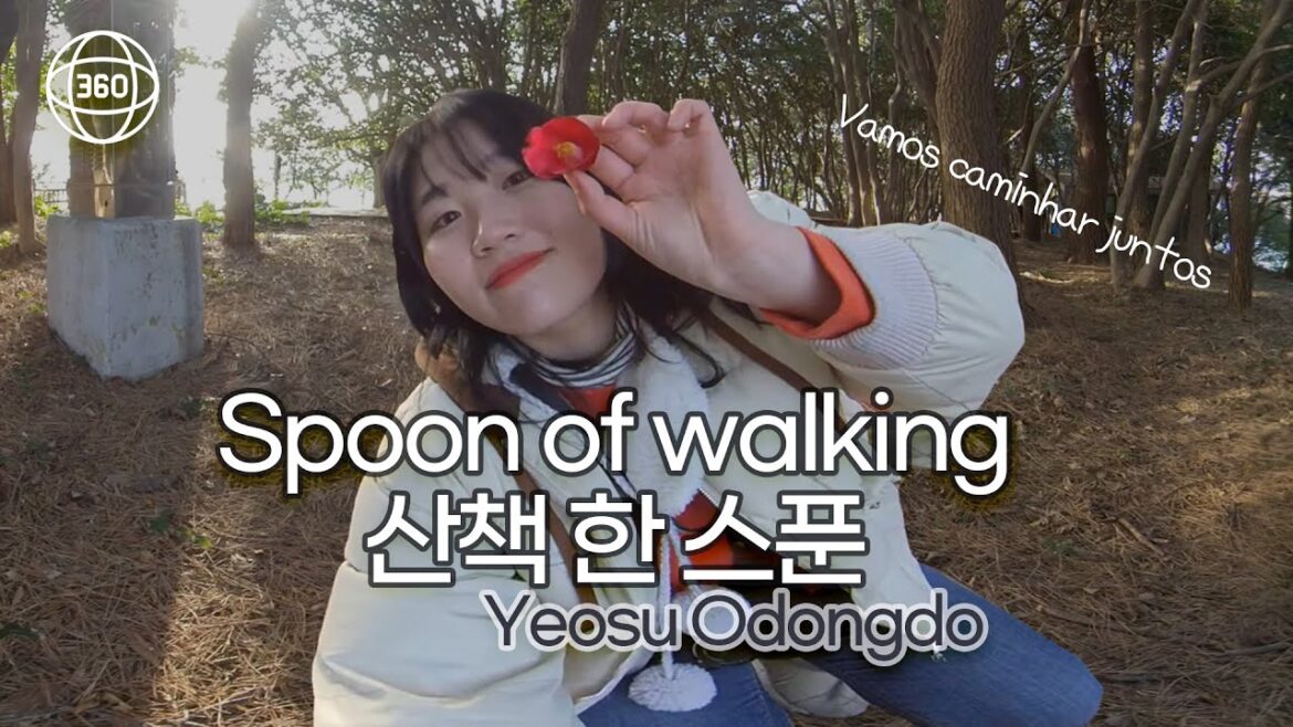 [방구석 여행] 오동도에서 동백꽃 찾기/VR/360