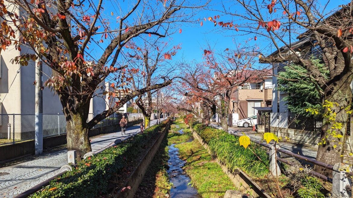 Tokyo Walk – Futako-Tamagawa to Komazawa Park Tokyo Walk - Futako-Tamagawa to Komazawa Park