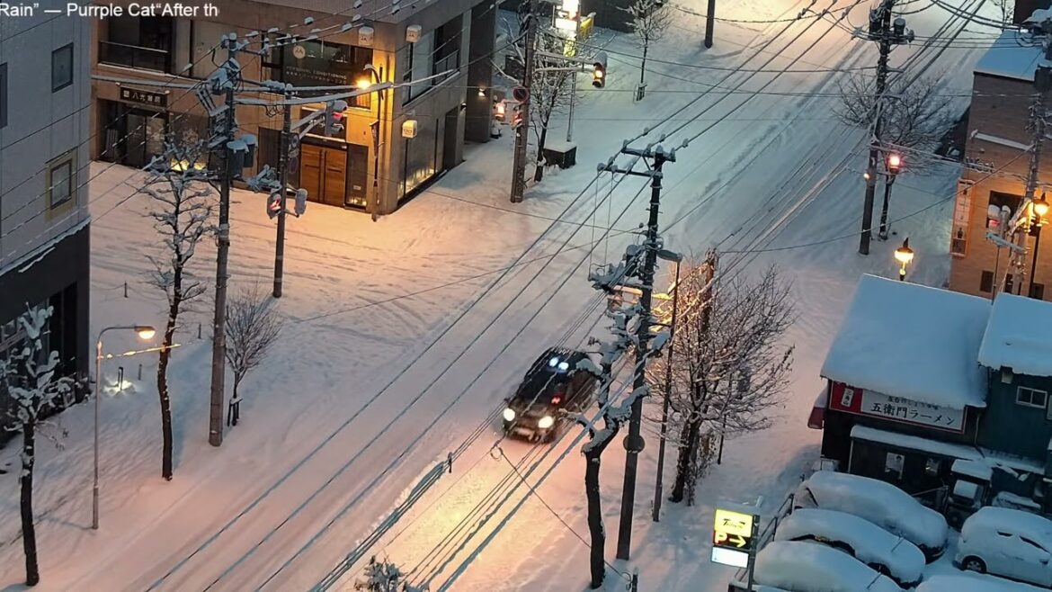 18 cm snowfall in 24 hours in Sapporo | December 12, 2022 18 cm snowfall in 24 hours in Sapporo | December 12, 2022