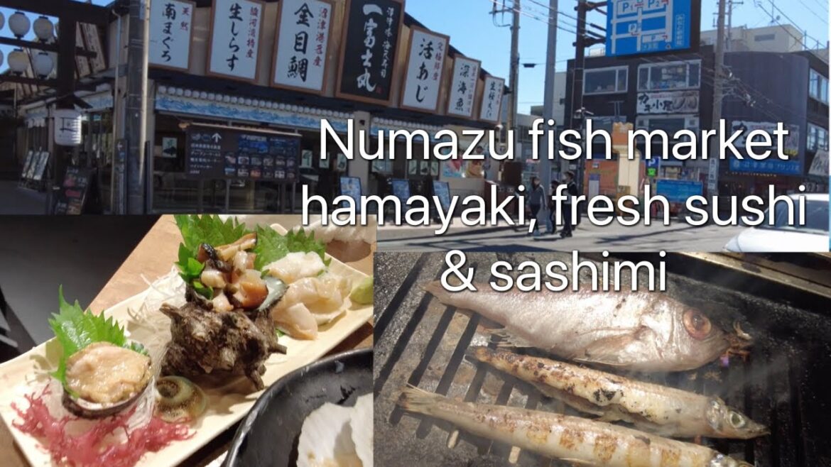 Numazu Fish Market walking with Hamayaki BBQ seafood, sushi and sashimi, Shizuoka Japan 沼津魚市場 Numazu Fish Market walking with Hamayaki BBQ seafood, sushi and sashimi, Shizuoka Japan 沼津魚市場