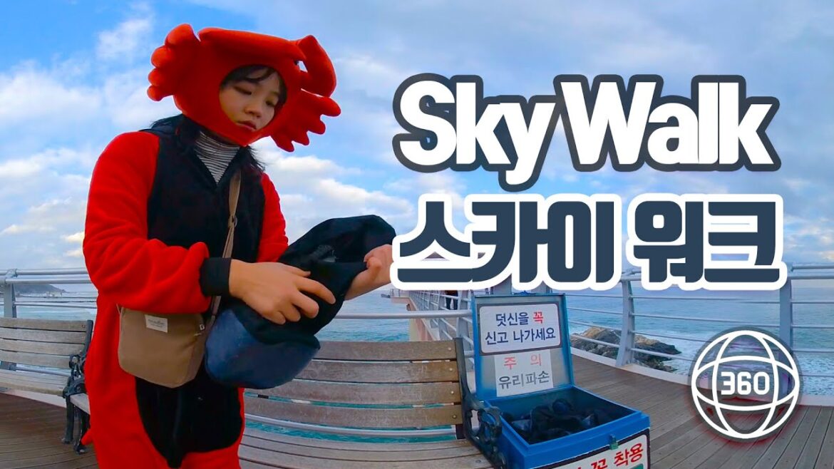 [방구석 여행] 집에서 스카이워크 걸어보자/울진 후포항/  VR/ 360