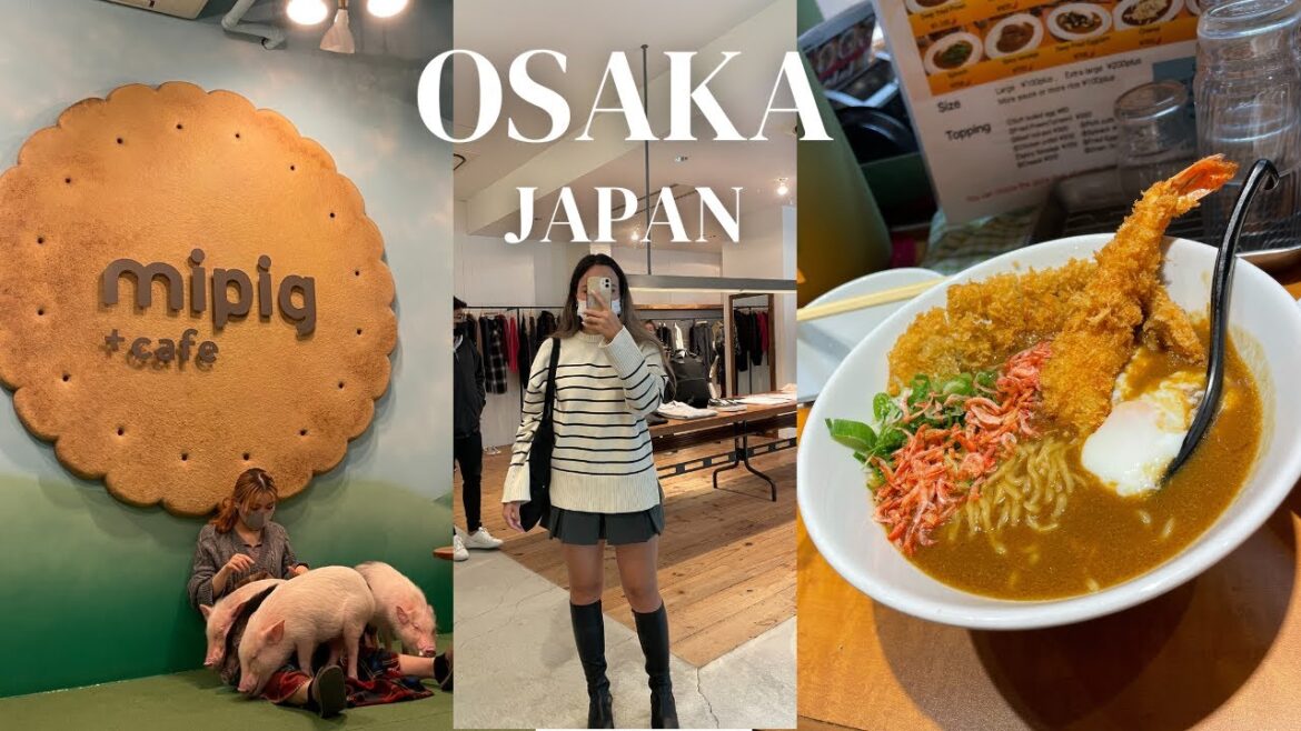 OSAKA Japan Vlog #2 | Eating Toro at Kuromon Market, Micropig cafe π· & more! OSAKA Japan Vlog #2 | Eating Toro at Kuromon Market, Micropig cafe π· & more!