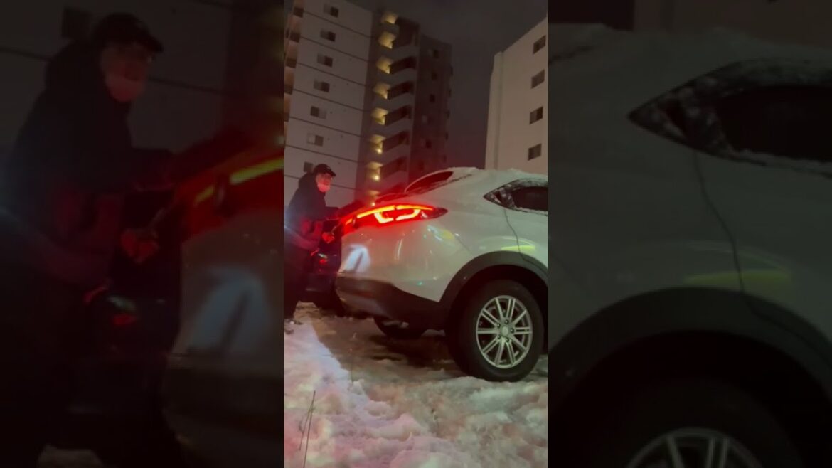 제설요? 매일하는데요? #삿포로 #홋카이도 #북해도