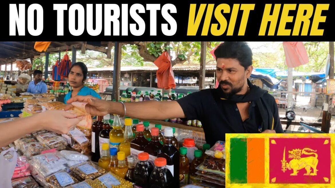 MARKET HUNT IN NORTH SRI LANKA 🇱🇰