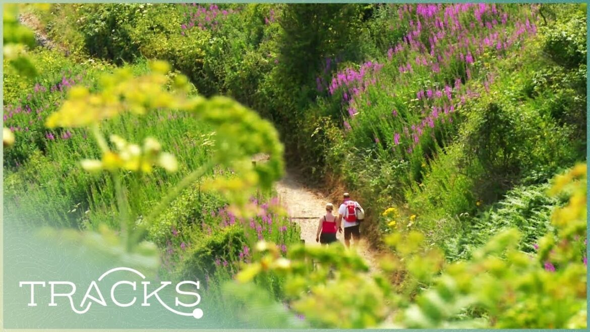 Ancient Caves And Scotland's Enchanted Gardens | Off The Beaten Track | TRACKS